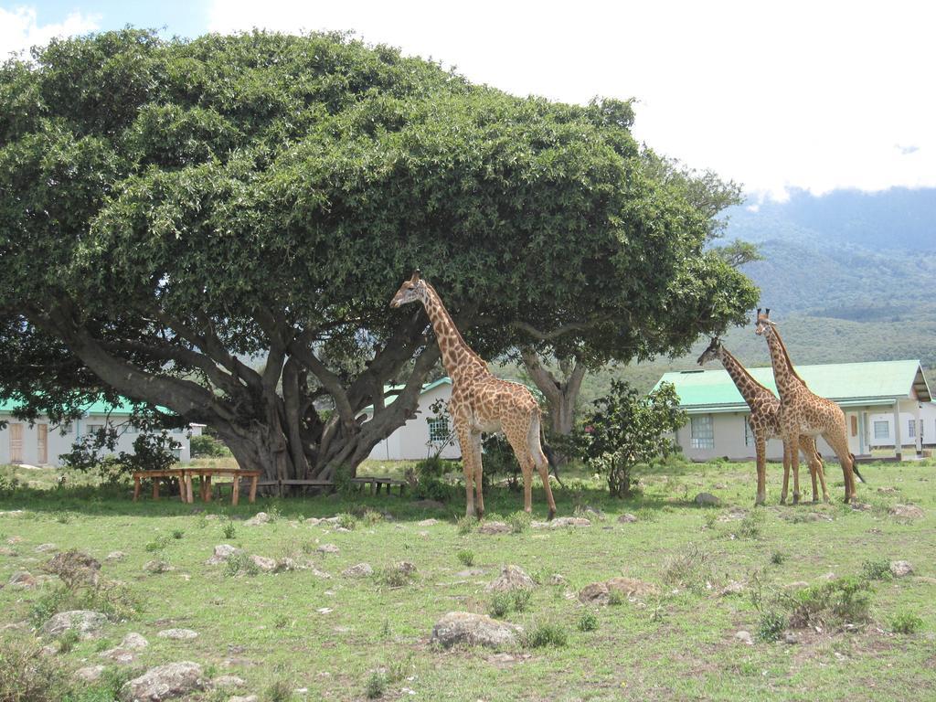 Nature Homes - Africa Amini Life Nkoanrua Εξωτερικό φωτογραφία